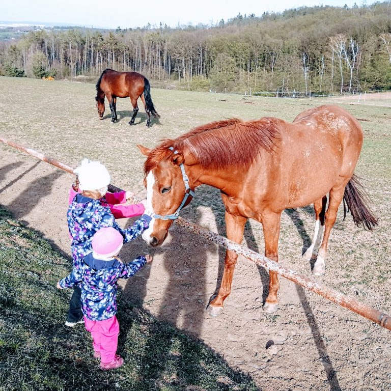 Vycházky do přírody